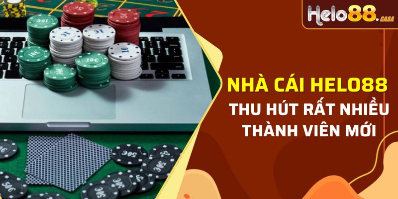 Nhà cái Helo88 chất lượng thu hút nhiều người chơi